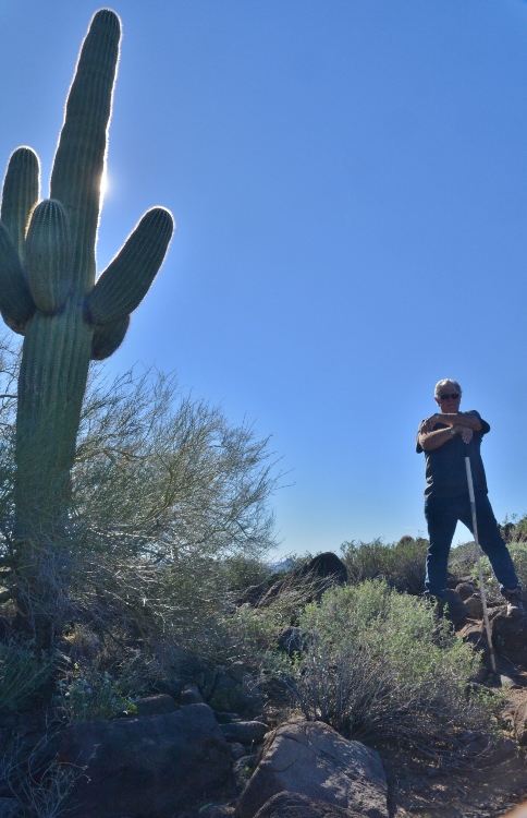 terry and saguaro